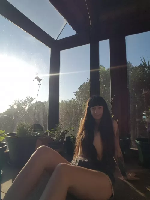 Sunny morning's call for outdoor sex 🌅 [f]