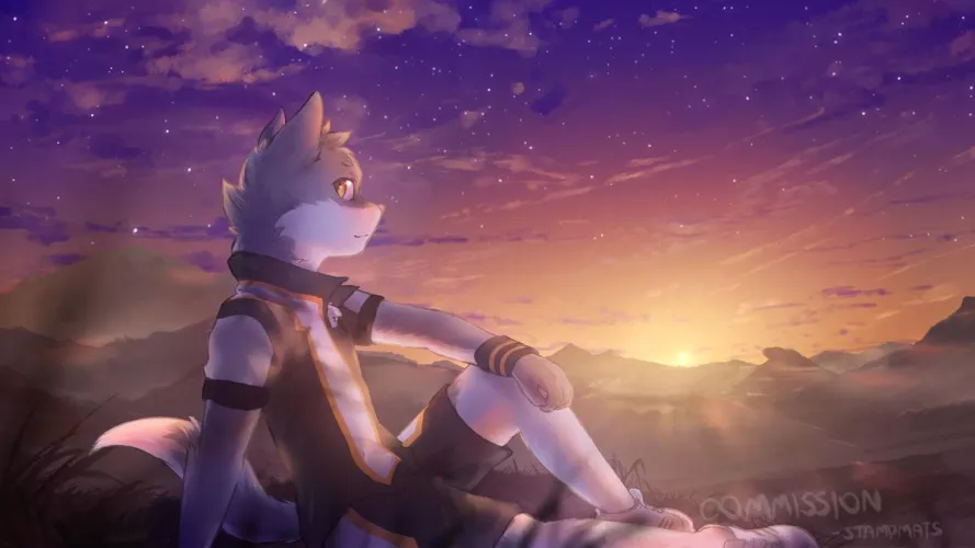 Sunset commission/ Art by me (commission : open)