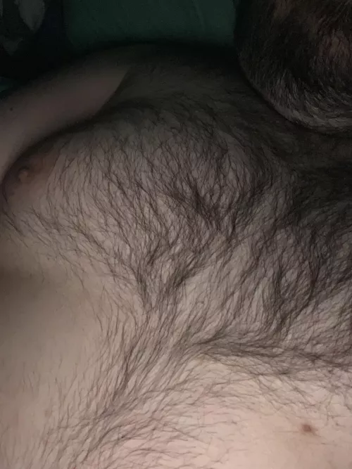 Sure is lonely in bed today…