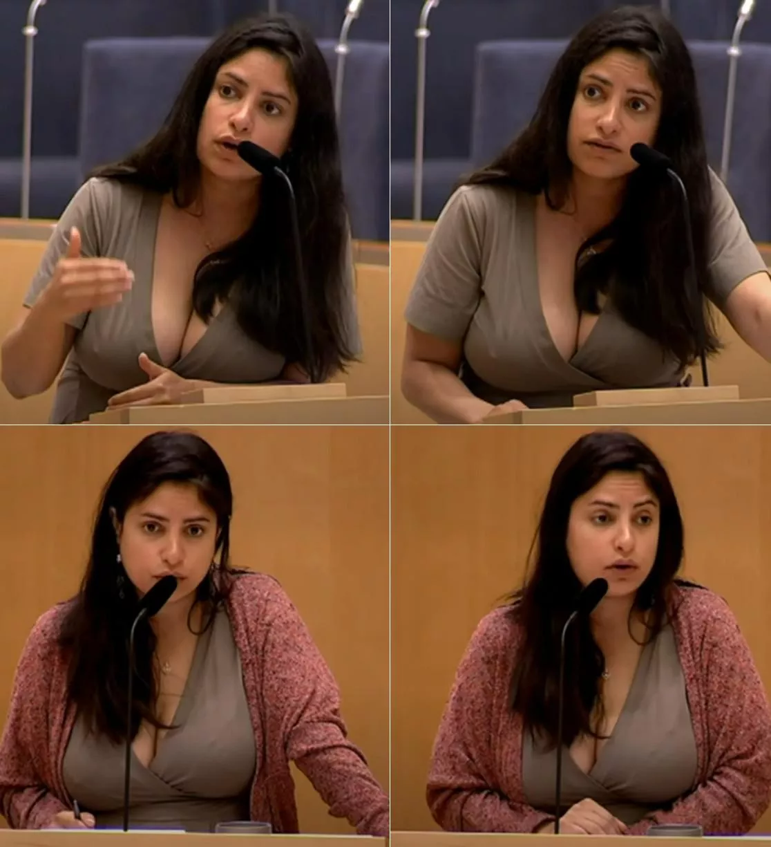 Swedish Politician Nooshi Dadgostar