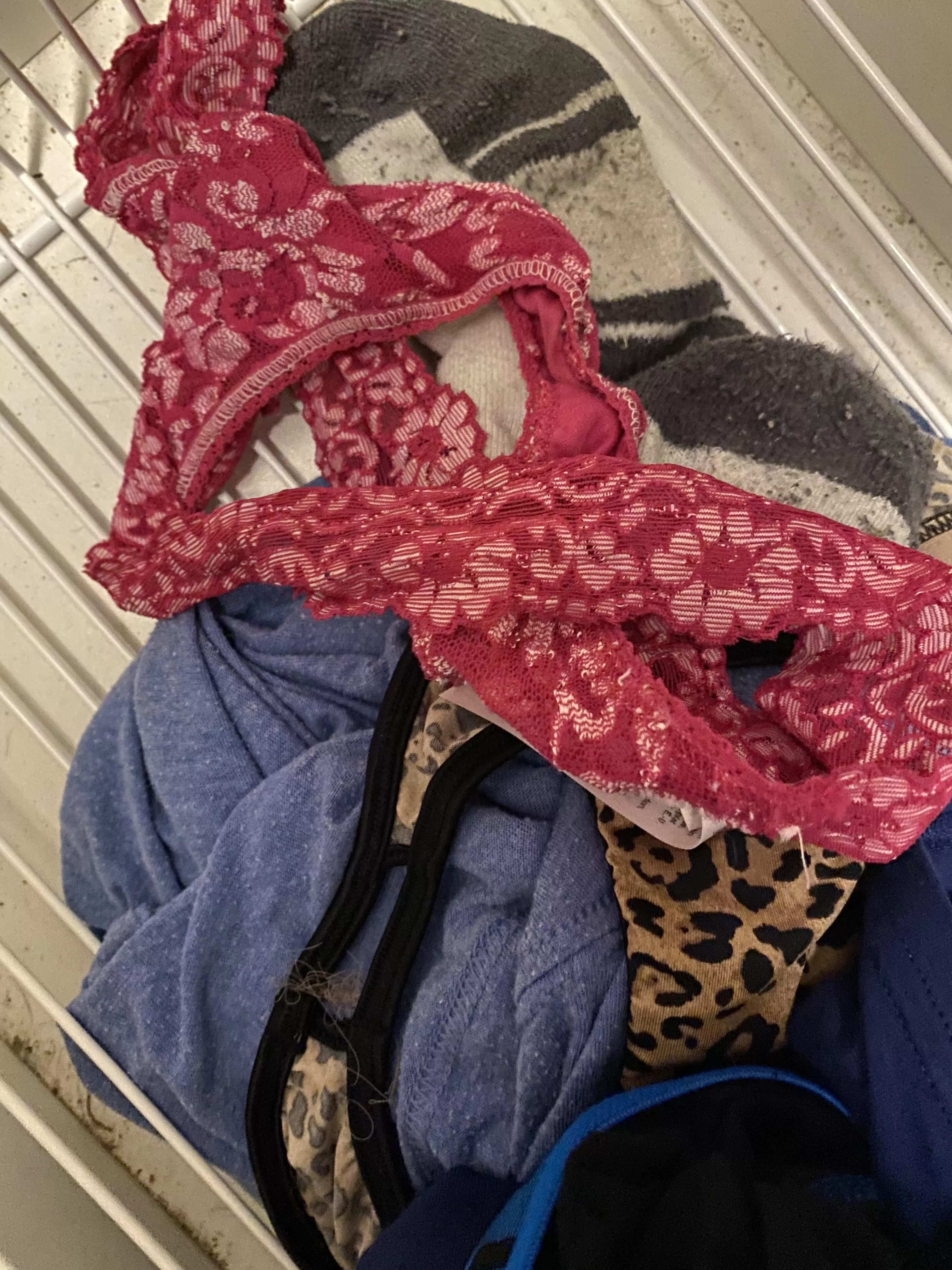 Swim Team Panty Combo