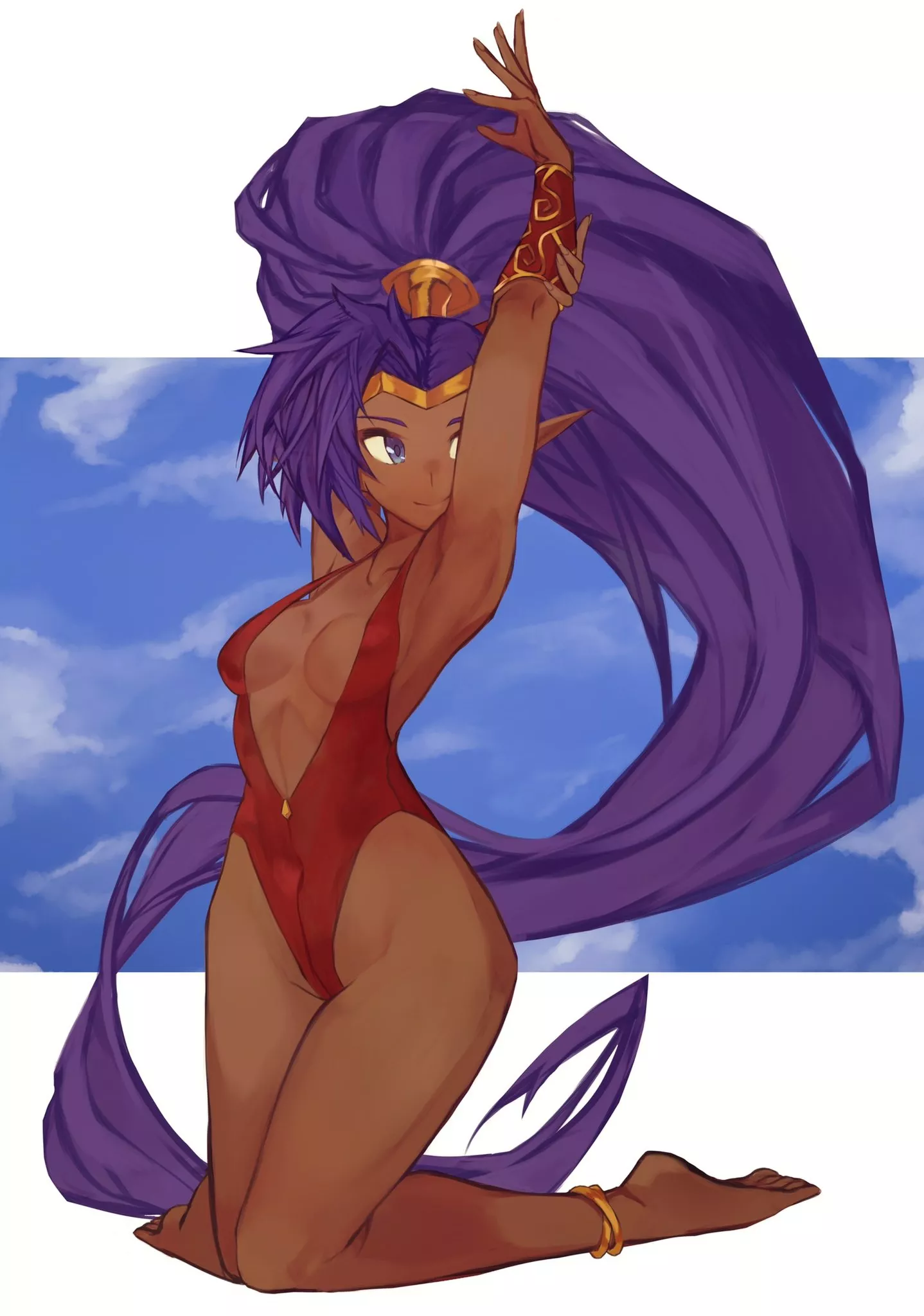 Swimsuit Shantae (Qmerlem) [Shantae]
