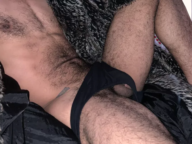 Take a look at the peeking bush