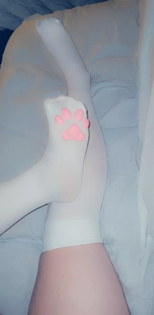 Take me outside and ill make kitty prints in the snow [OC]