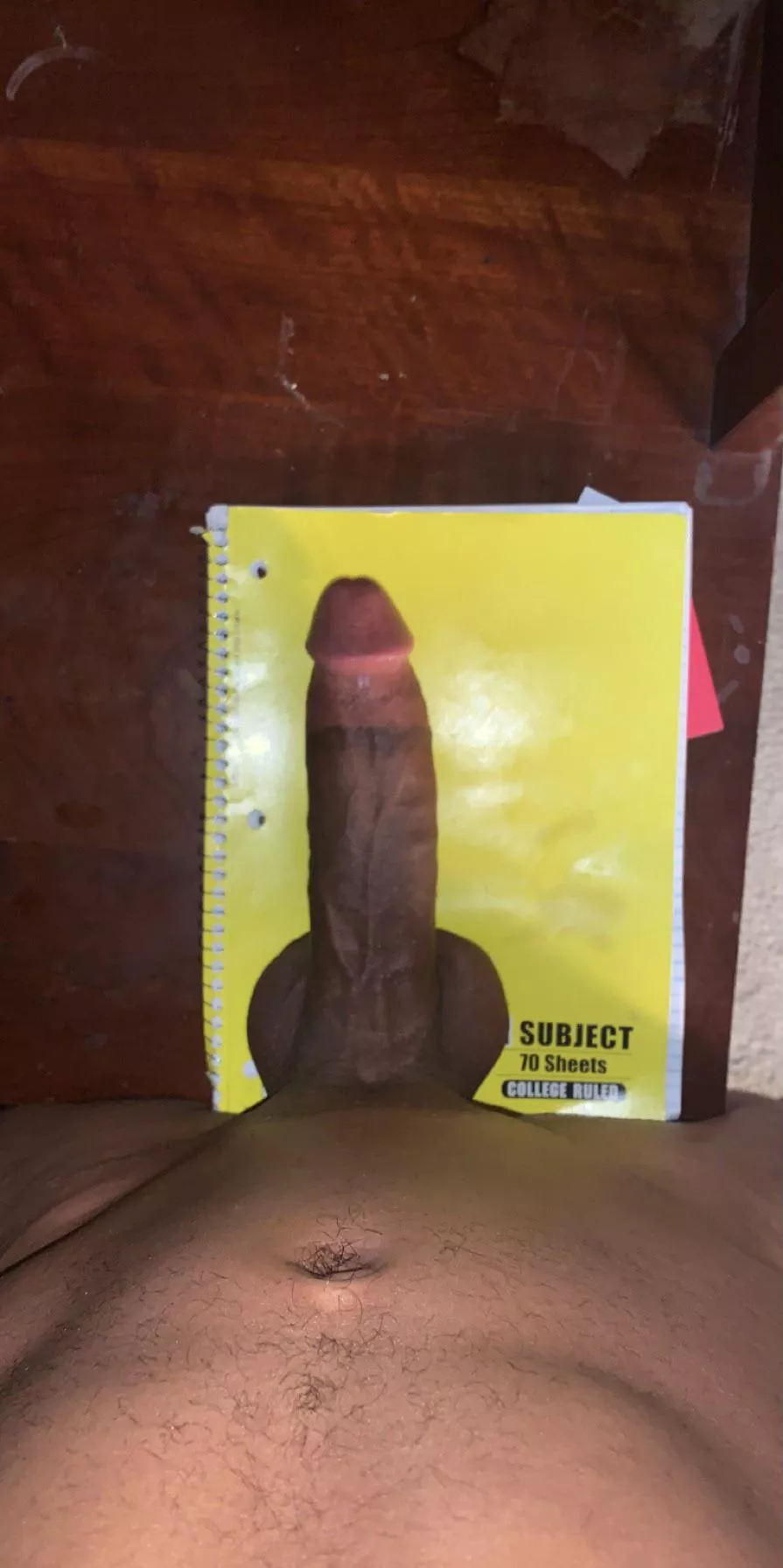 take notes using my cock? take notes using my cock?