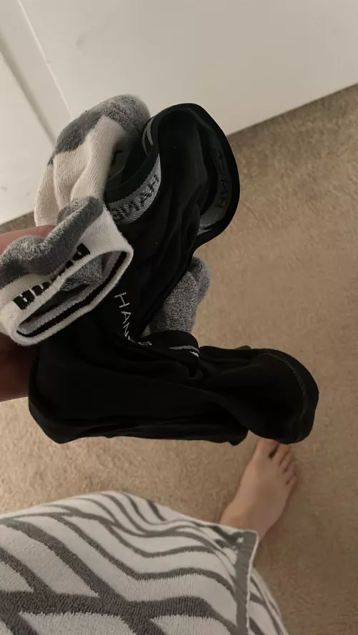 Take your pick at which you wanna sniff