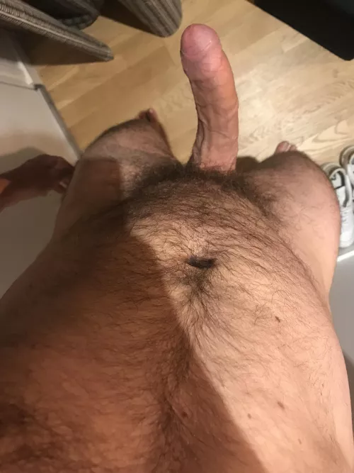 Taking a look down at my morning 🪵