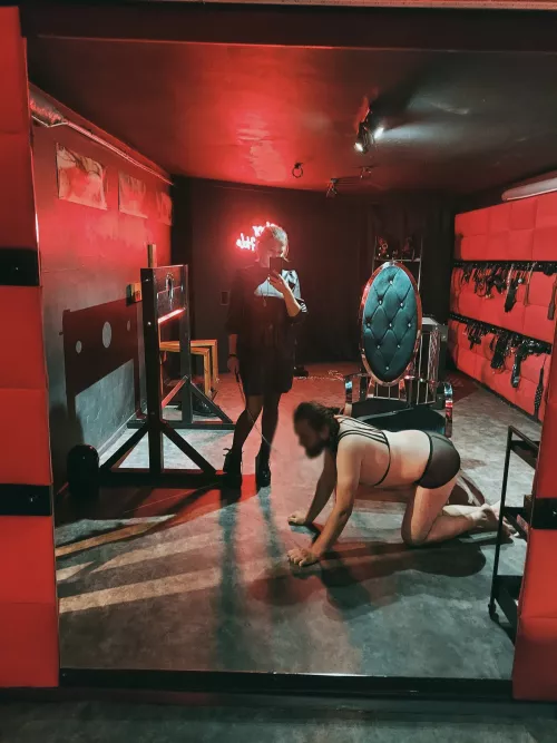 Taking my dog on the walk