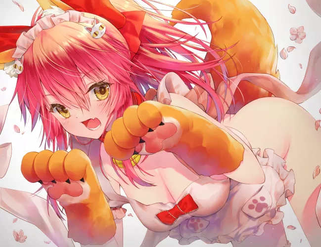 Tamamo Cat