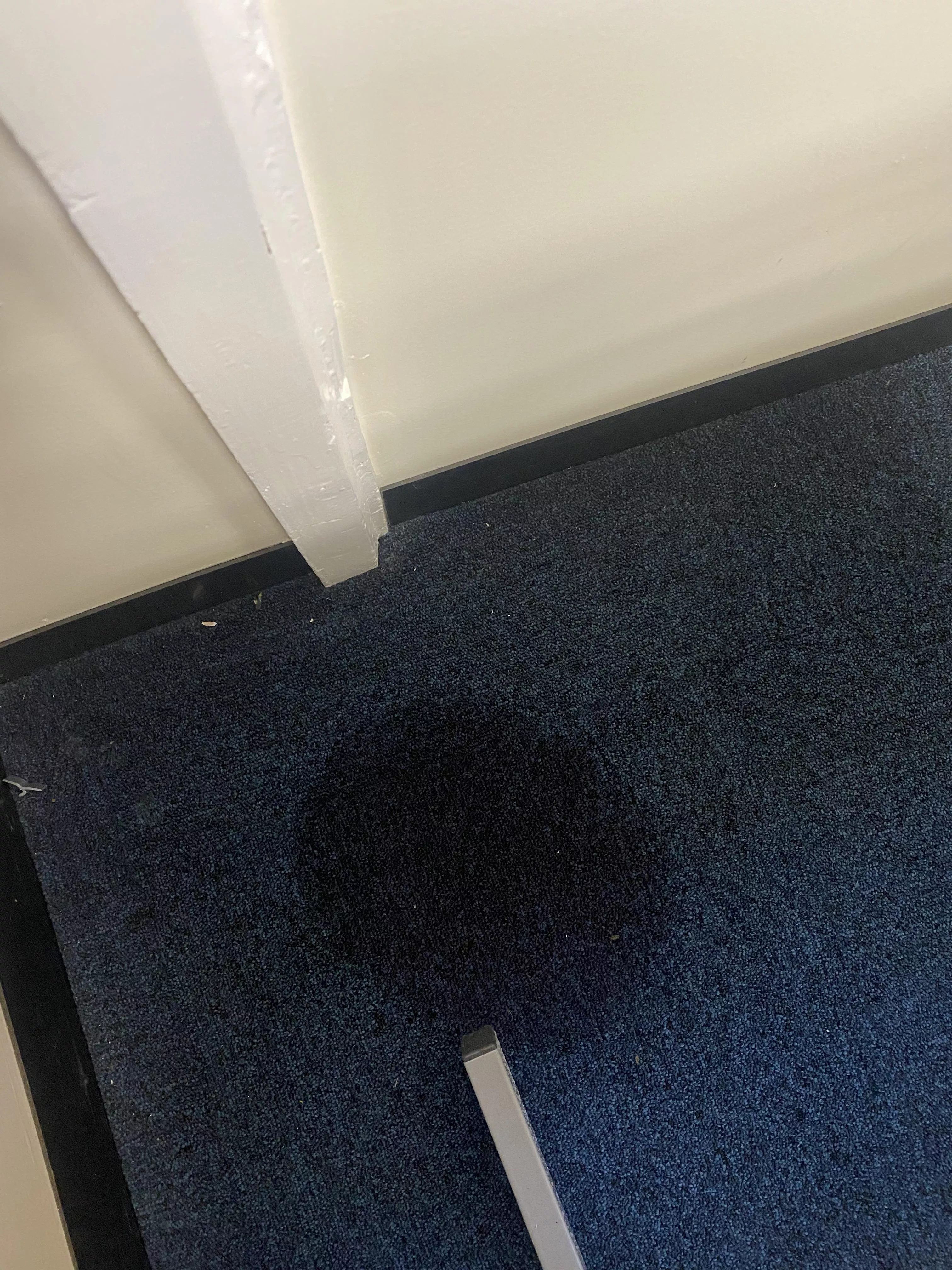Teaser photo: dirty slag pissed on the office carpet again. Video(s) to follow later tonight.