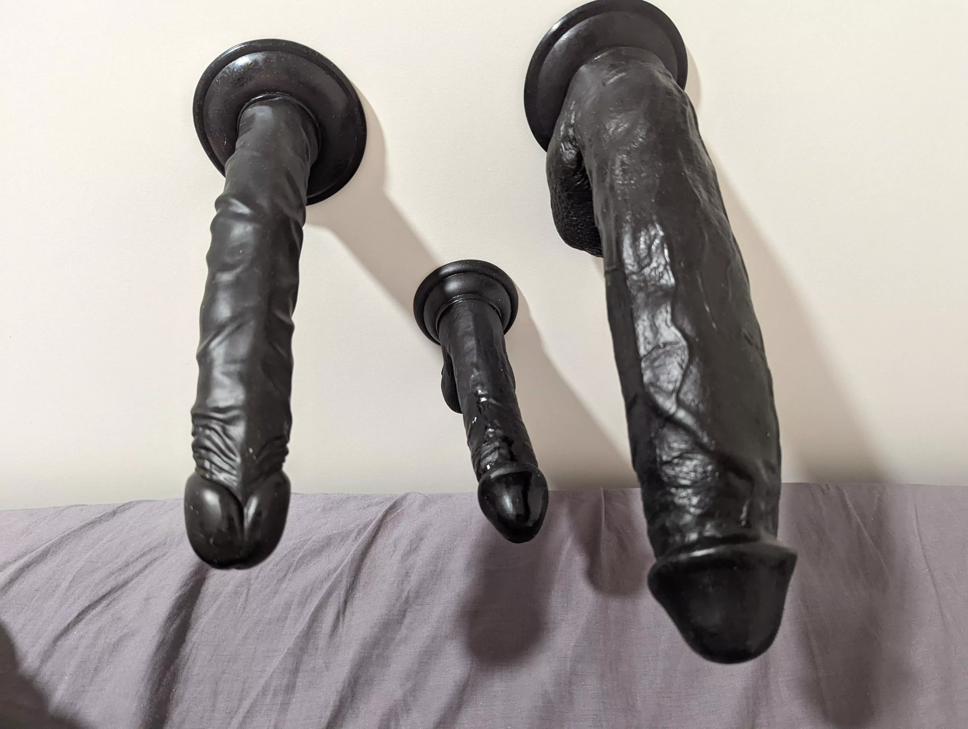 Tell me which toy should go where, 6, 10 and 12 inches Tell me which toy should go where, 6, 10 and 12 inches