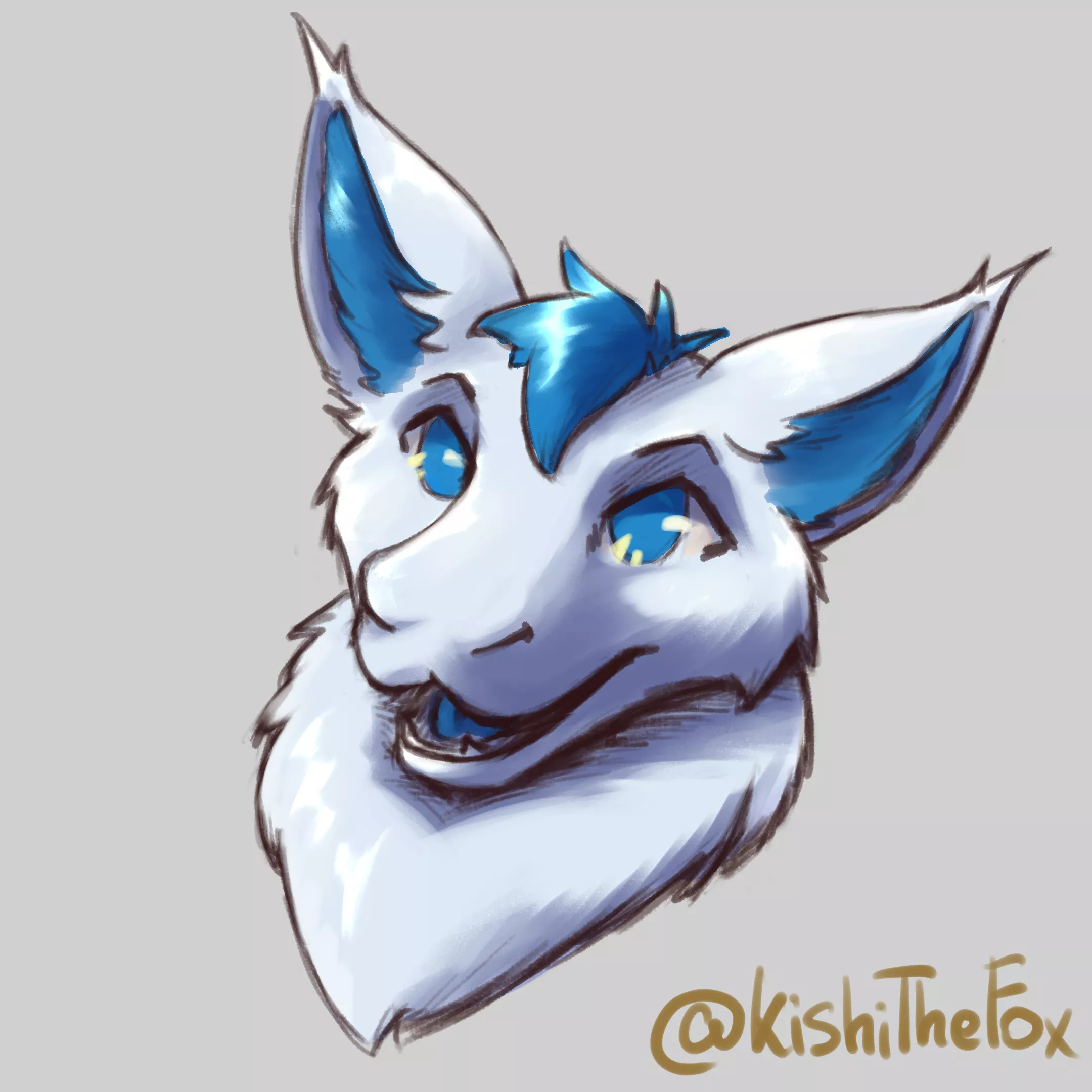Thank you so much @KishiTheFox for the first ever art of my fursona, Flakes.