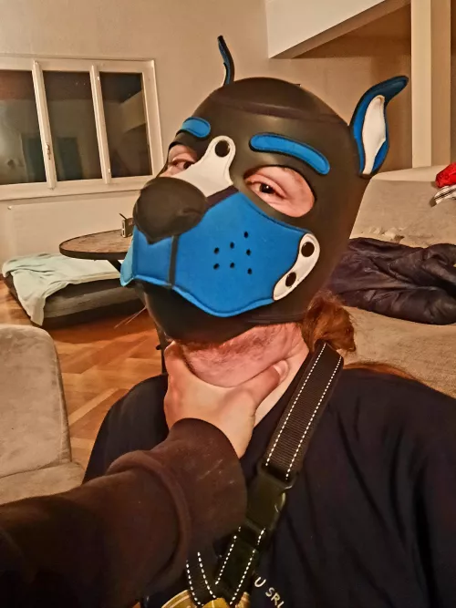 Thanks for the welcome, here's what happened next : My friend handled my like a pro trainer, choking me into an obedient puddle any time I tried resisting ☺️