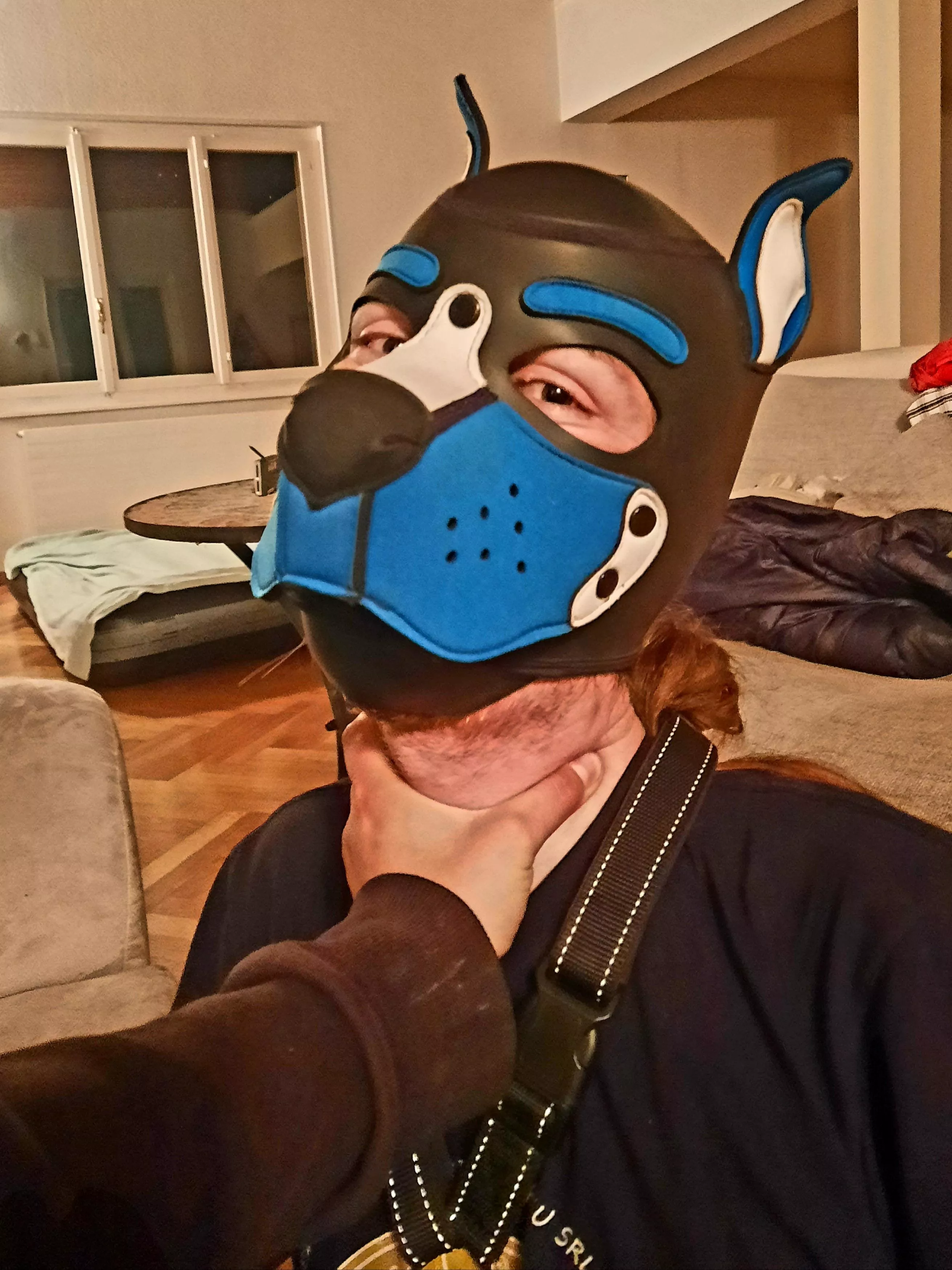 Thanks for the welcome, here's what happened next : My friend handled my like a pro trainer, choking me into an obedient puddle any time I tried resisting ☺️