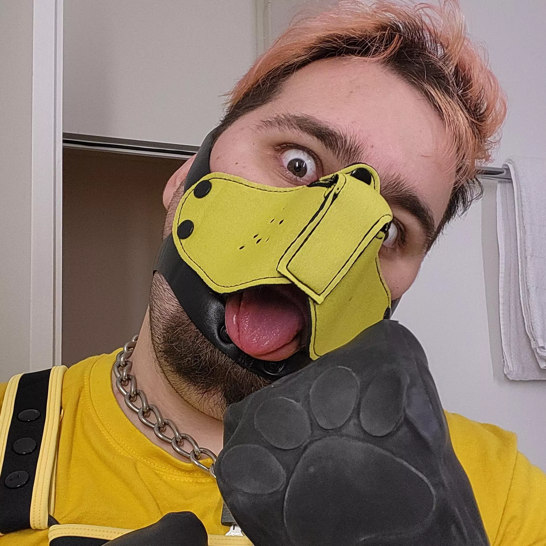 Thats my reaction when i could finally had a playtime again 😄🐶