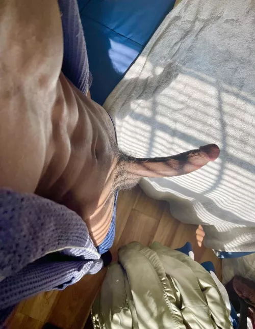 the amount of white girls and latinas that I have had in my bed...