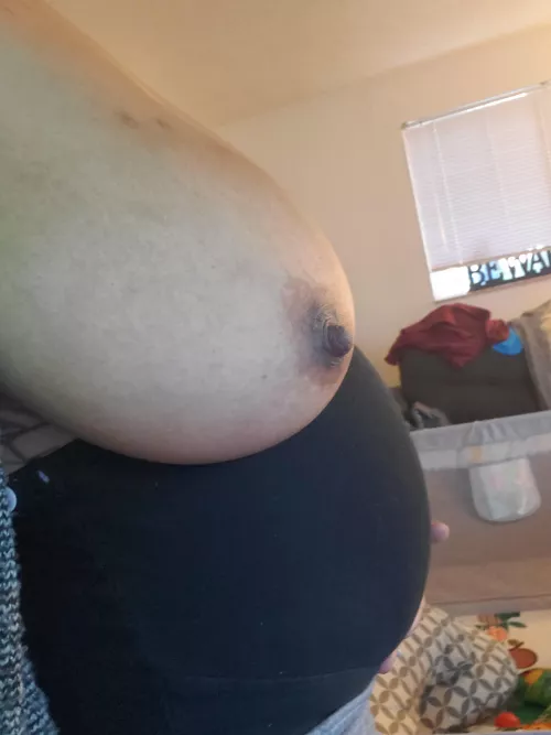 The belly