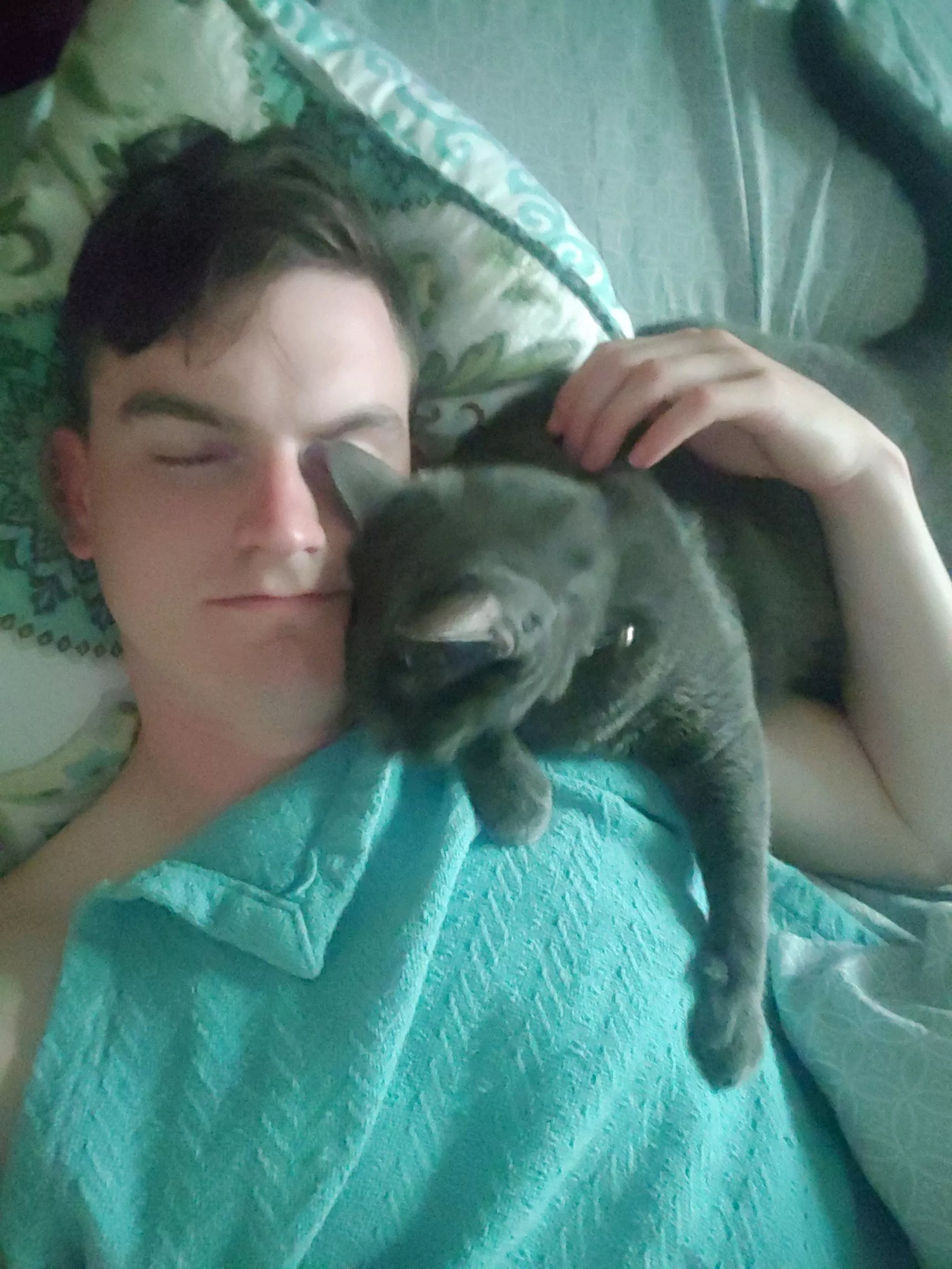 The best cuddle buddy The best cuddle buddy