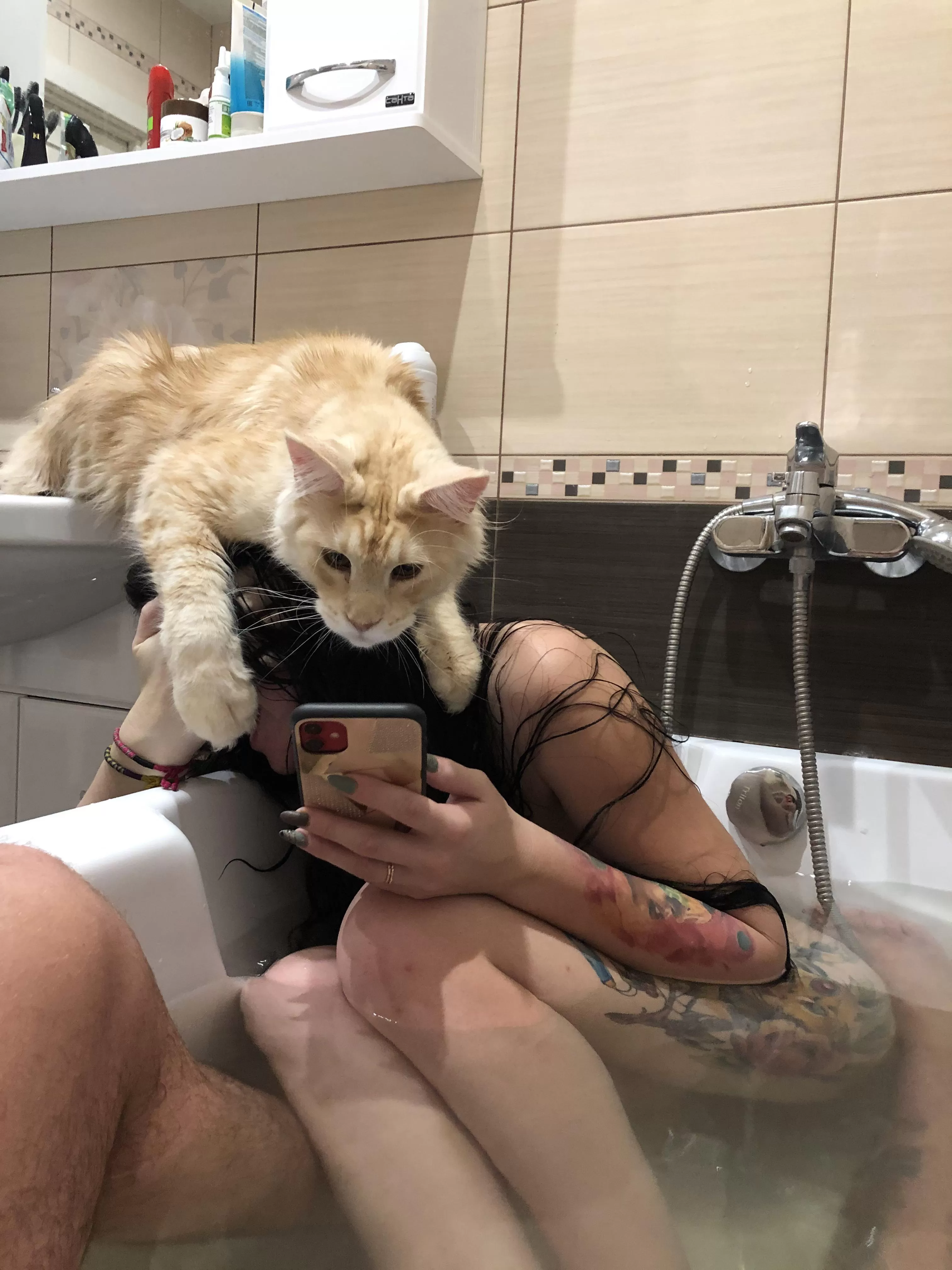 The cat checks correspondence with lovers! 😮 The cat checks correspondence with lovers! 😮