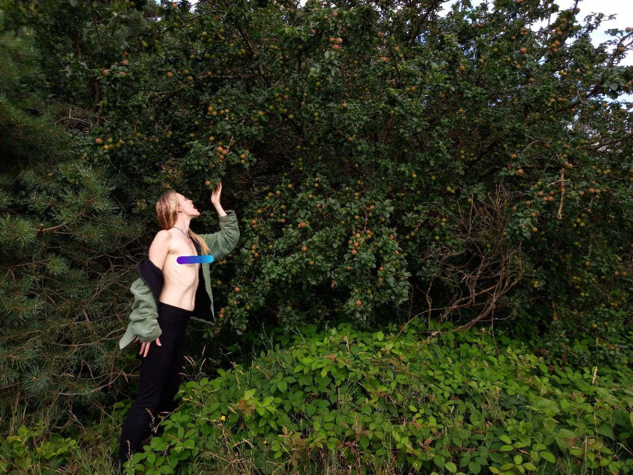 The forbidden fruit!🍏