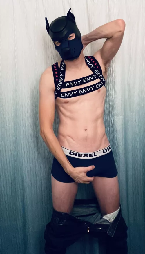 🦴🦴🦴 the goodest boy IG @aruff_arlopup