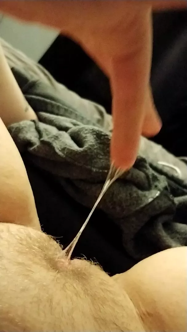 🍯The Honey Pot🍯