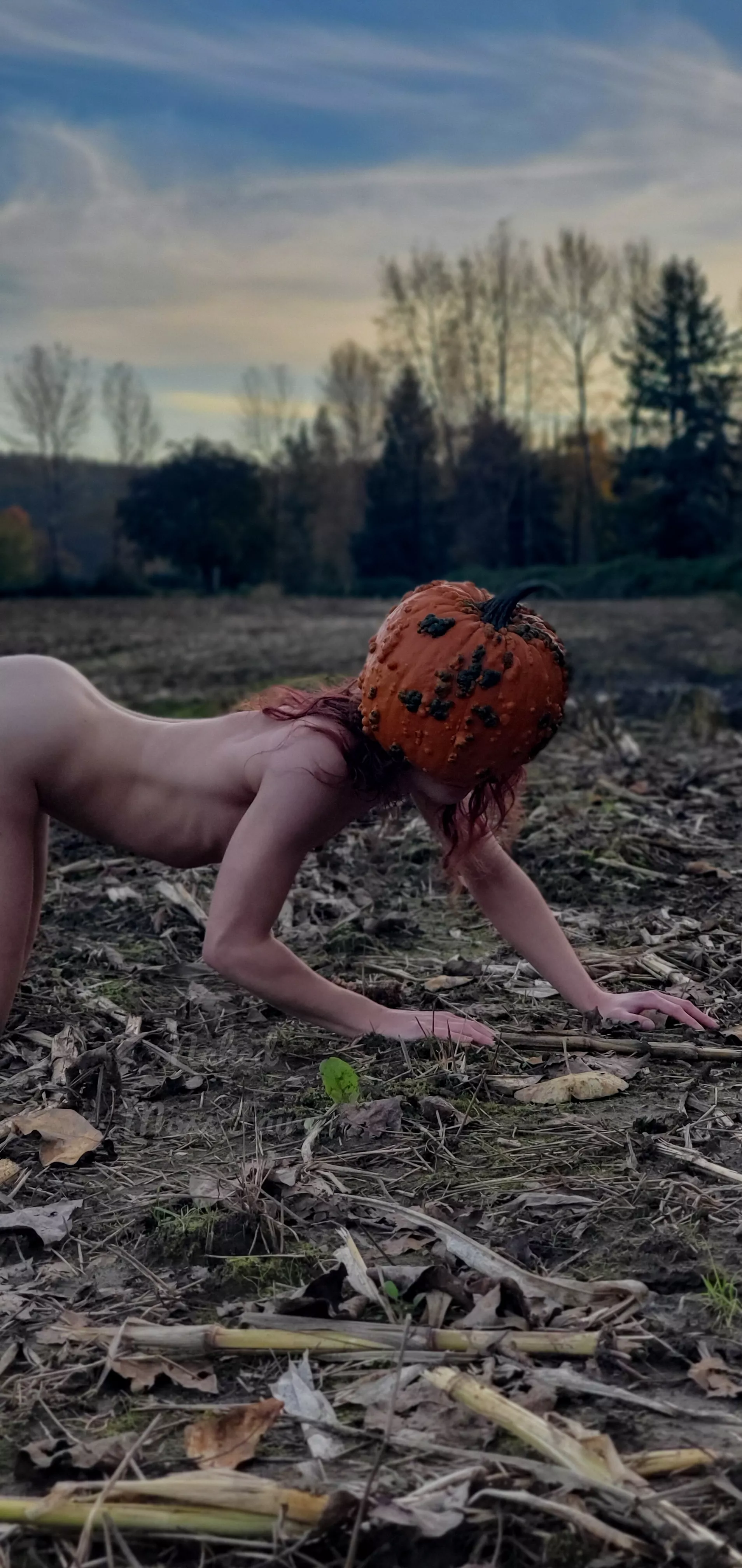 The last pumpkin in the patch๐๐ The last pumpkin in the patch๐๐