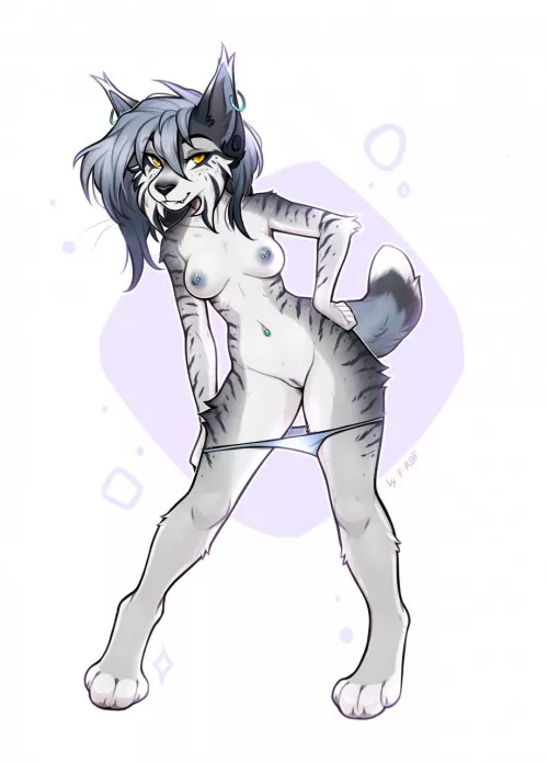 The Lynx [F] (F-R95)