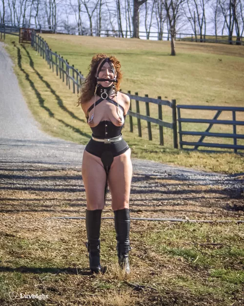 The neighbors always loved to see me walk my pony down our country road (Dee Luvbight 2003)