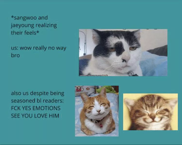 The only true experience of reading Semantic Error