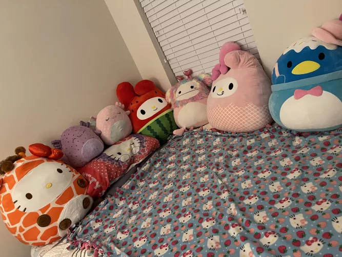 The squishies are taking over 😳 Just missing a Daddy to snuggle with 🥺