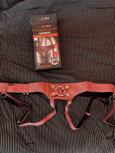 The strap she used on me last night. Sheβs my βcountessβ ππ