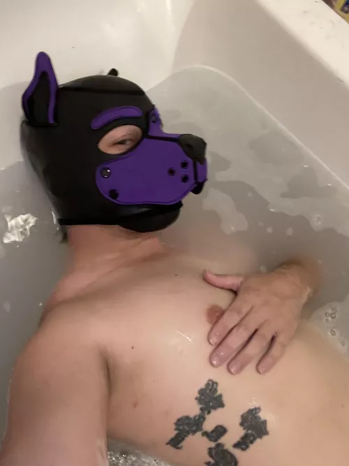 There is room for two in here… anyone wanna join this lonely pup? BRING MORE BUBBLES!!