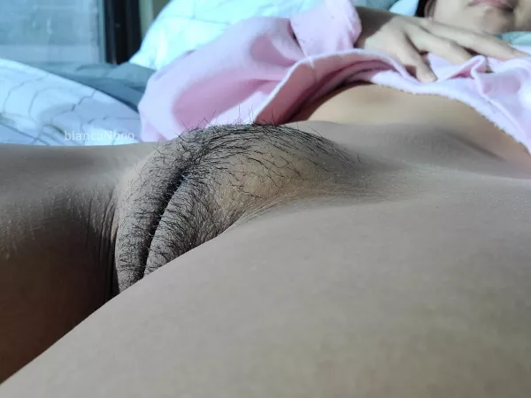 There's a forest on this mountain ⛰