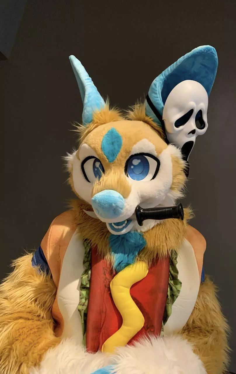 There’s a lot going on here..