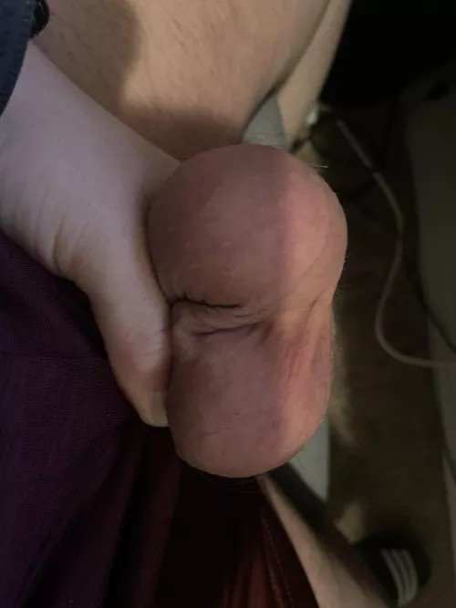 These are heavy, someone hold them with your mouth.