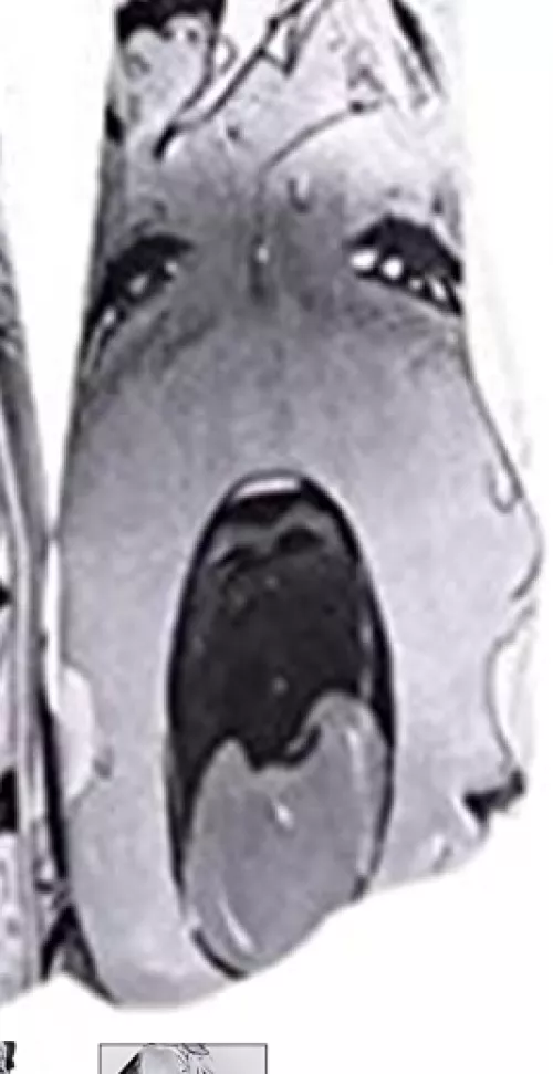 these are socks on Amazon.