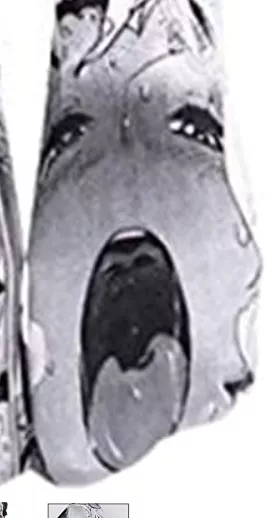 these are socks on Amazon.