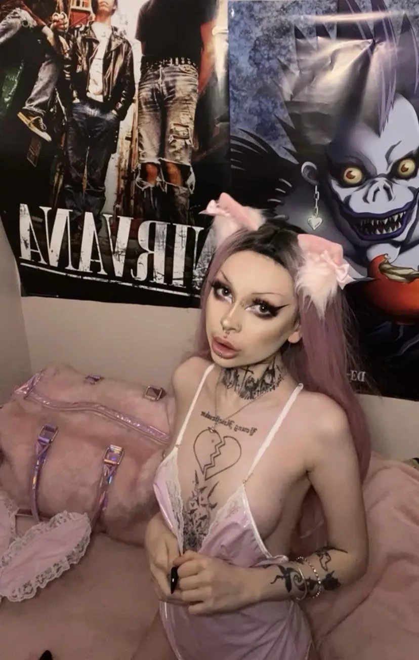 these cat ears are too cute ^.^