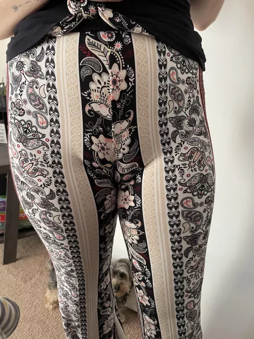 These pants are guy’s favorites