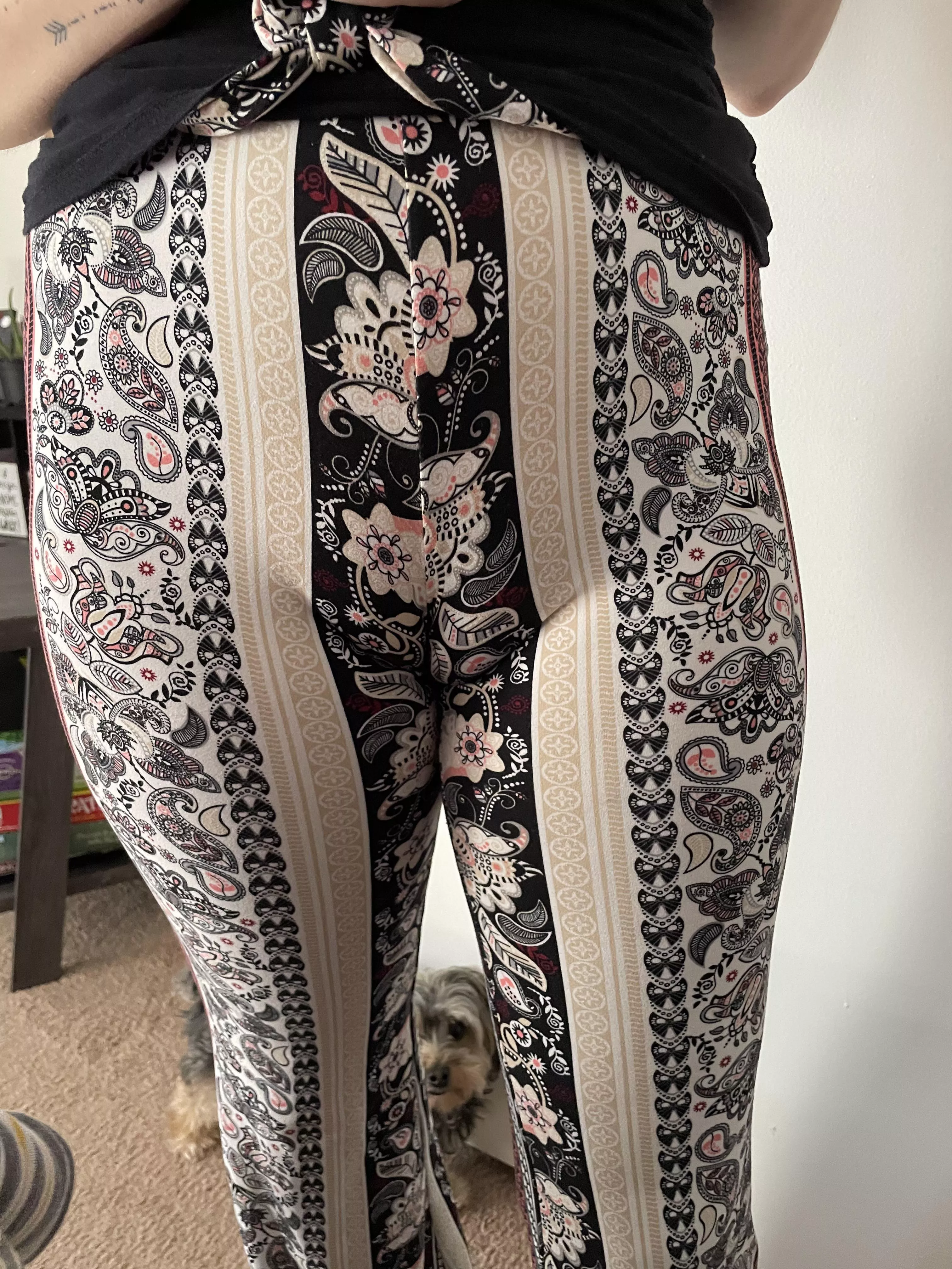 These pants are guy’s favorites