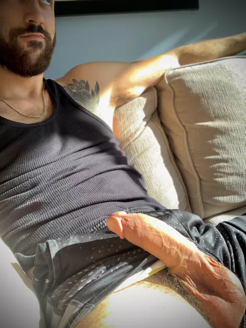 These shorts canβt contain my cock. Can you?