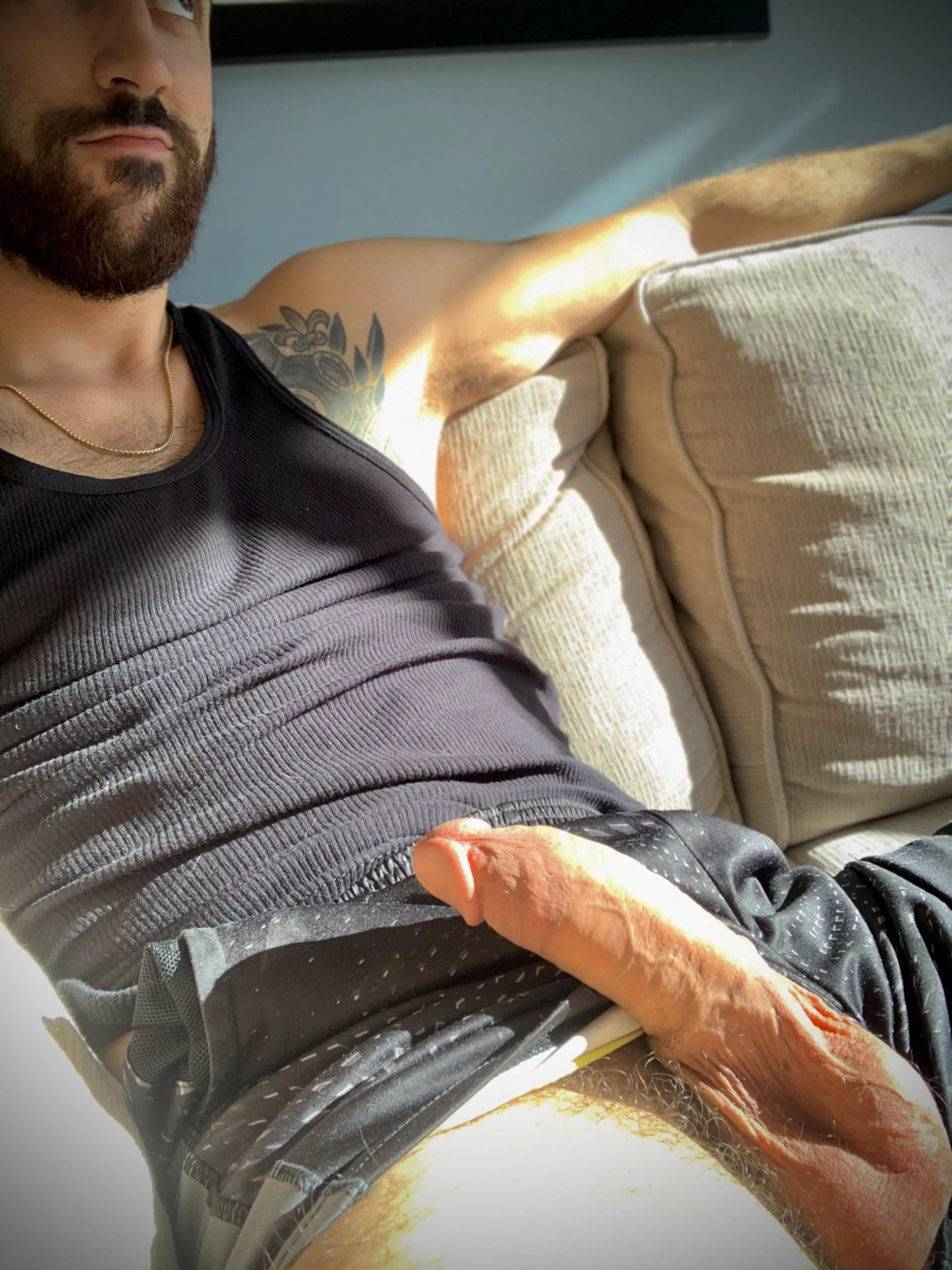 These shorts can’t contain my cock. Can you?