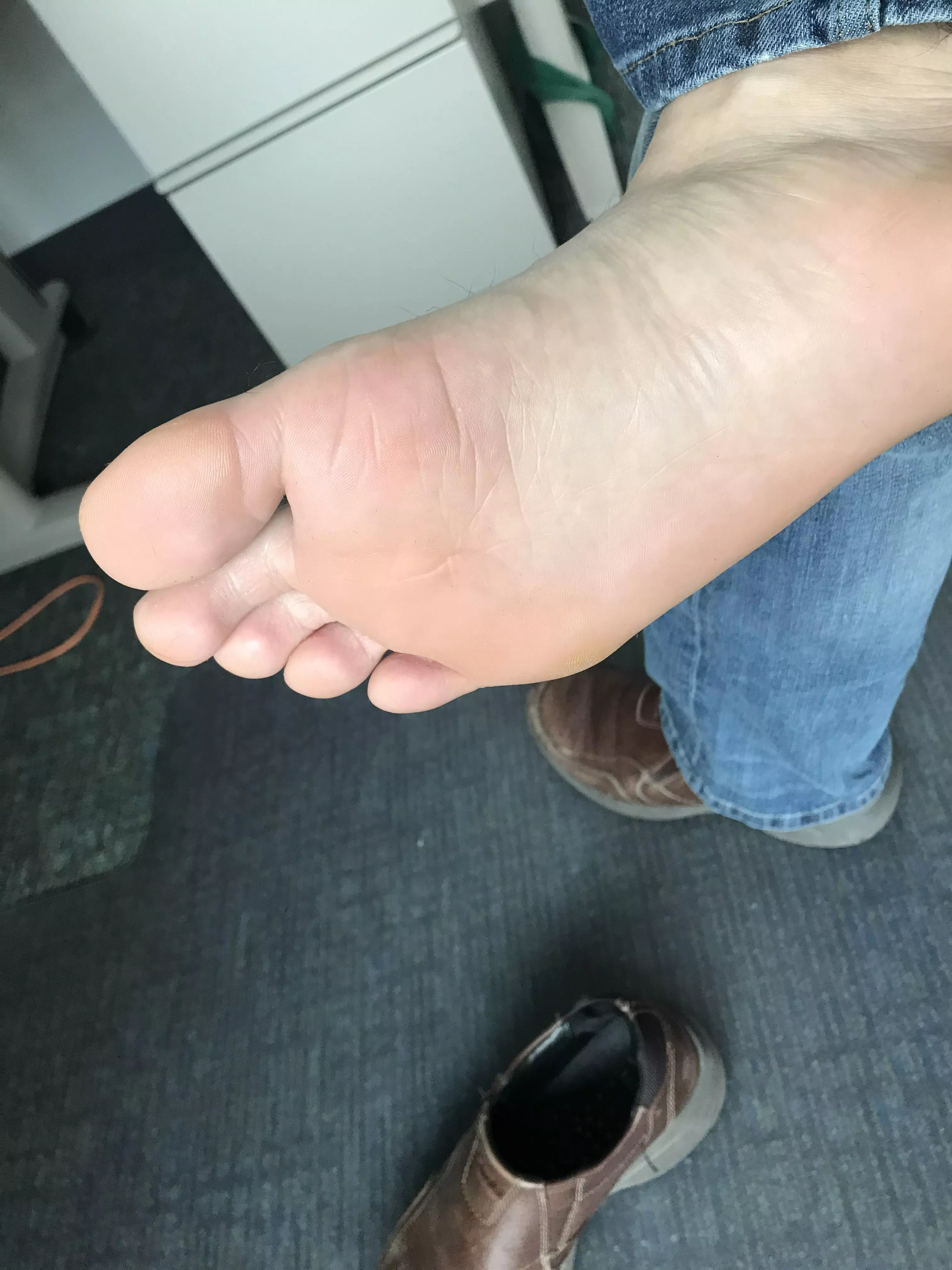 They get a bit too warm in these leather shoes. Care to hide under my desk? π They get a bit too warm in these leather shoes. Care to hide under my desk? π