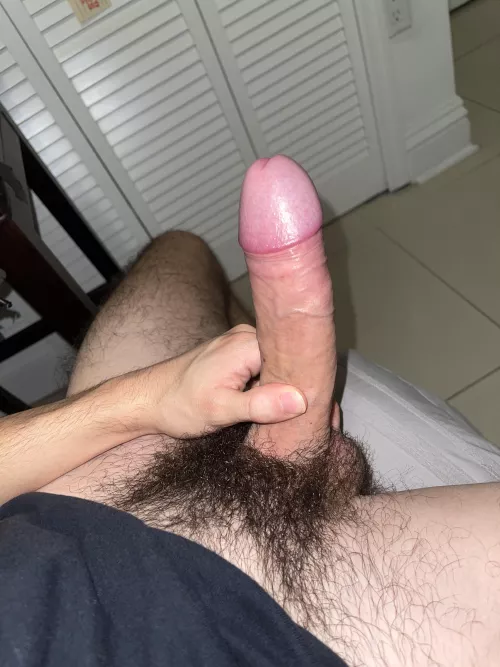 *They won’t notice They won’t Notice They won’t notice*