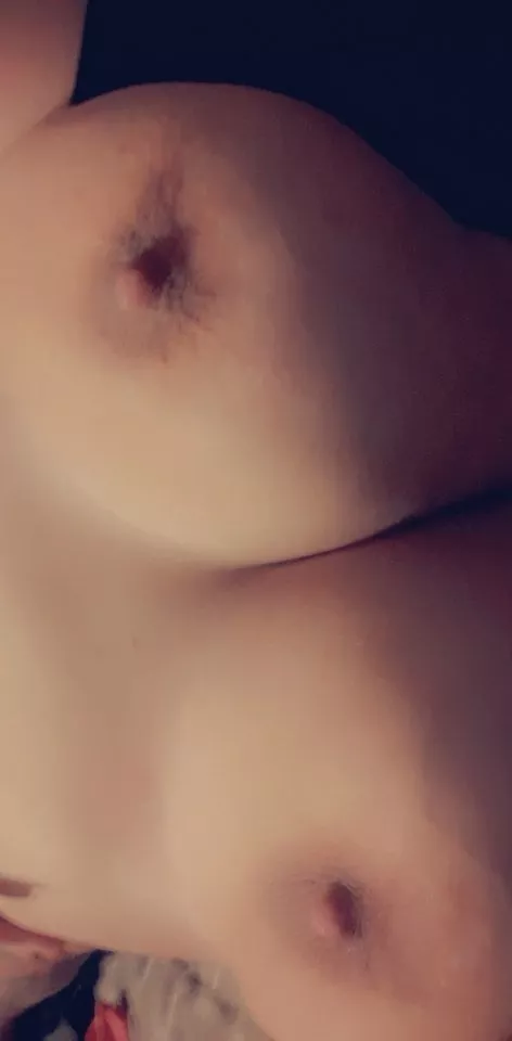 They're getting more filled with heavy milk each day. I'm excited to know soon they'll be so engorged they will leak and spray on their own.