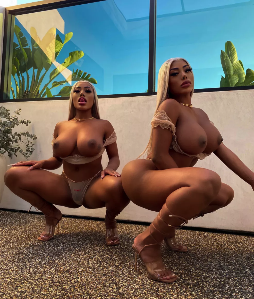 Thick ebony twins