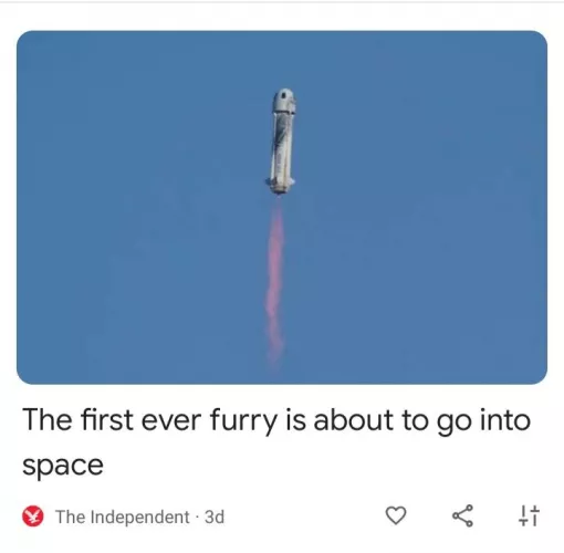 Think it's funny that there acting as if it's not a person going to space but some guy in a fursuit