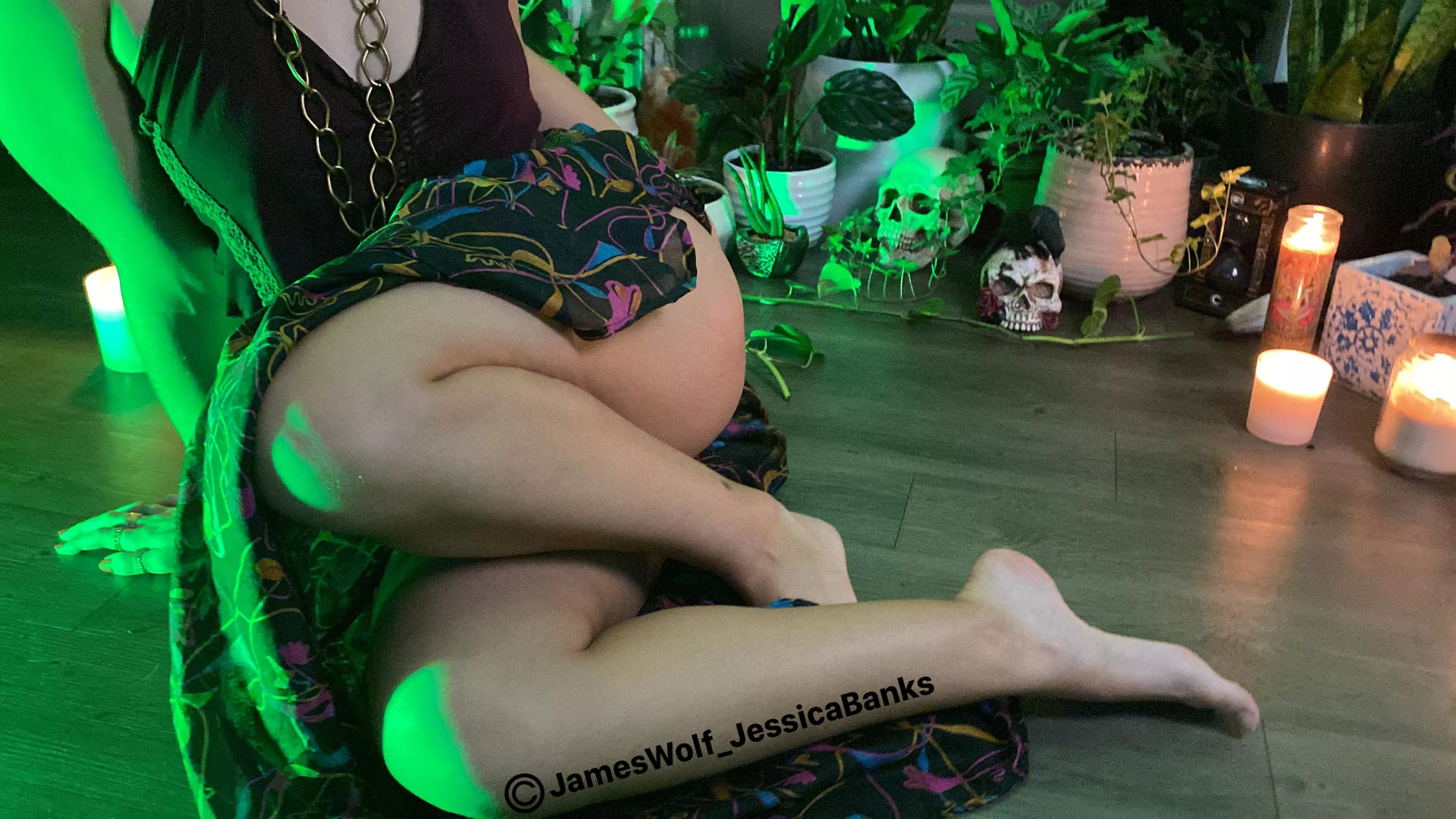 Think you can tame this?