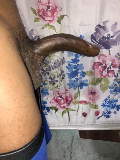 Think you could handle the curve?